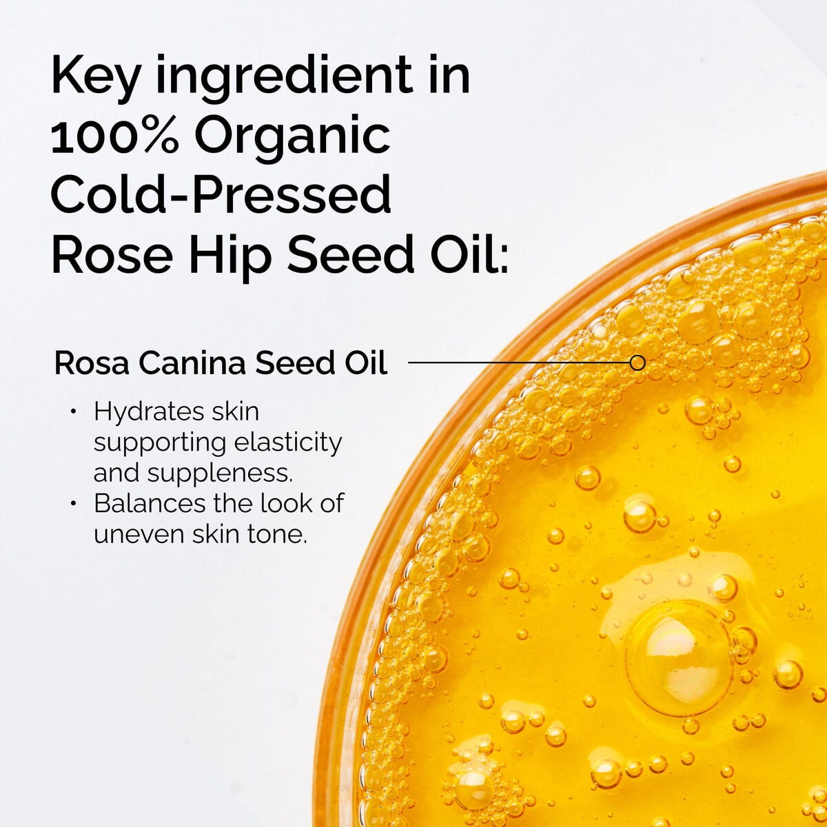 100-organic-cold-pressed-rose-hip-seed-oil-f2 FY25-D41247-ORD-Web-PDP-100-Rose-Hip-Oil-1x1-EN-2.jpg
