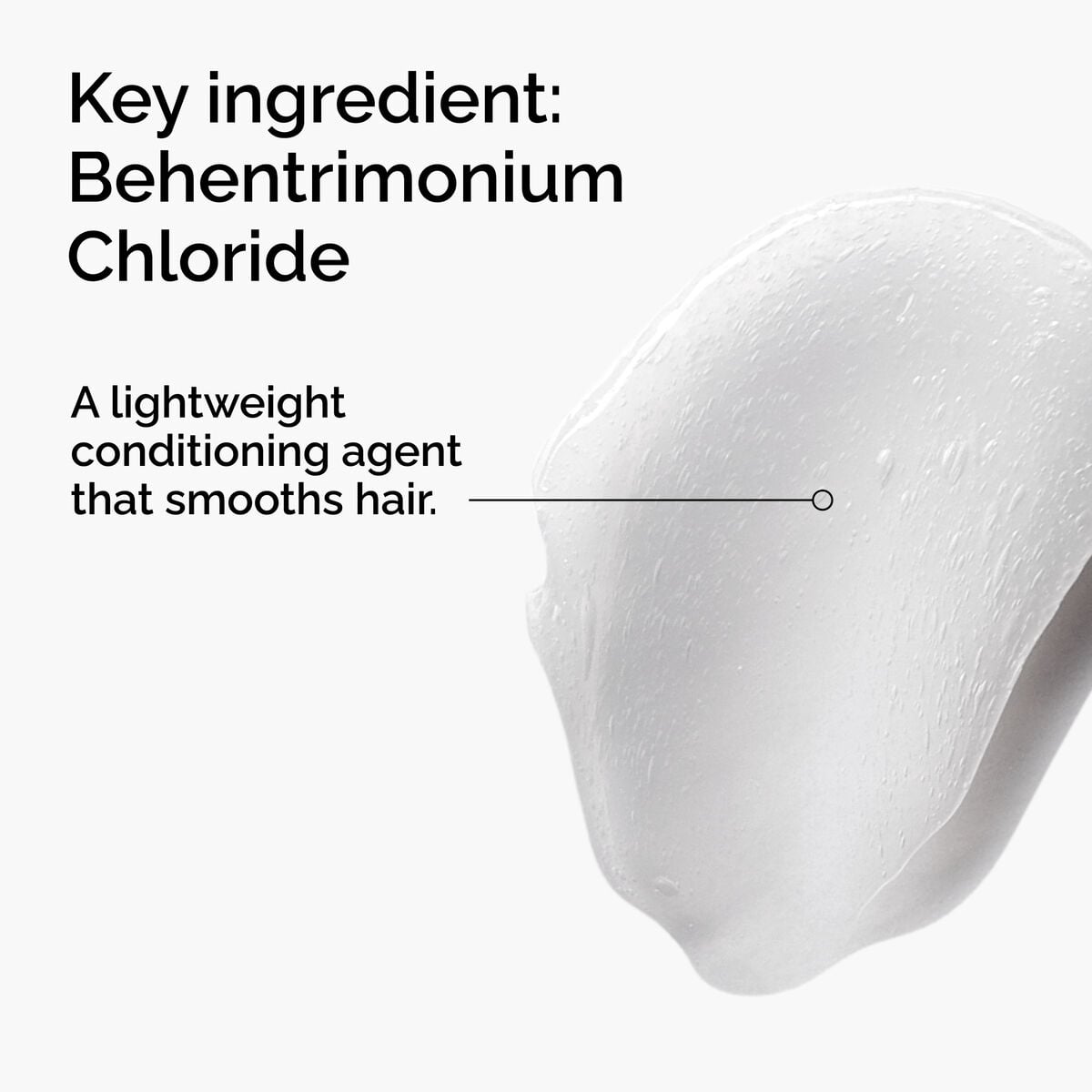 behentrimonium-chloride-2-conditioner-d2 FY25-D41247-ORD-Web-PDP-BTC-1x1-EN-2a.jpg