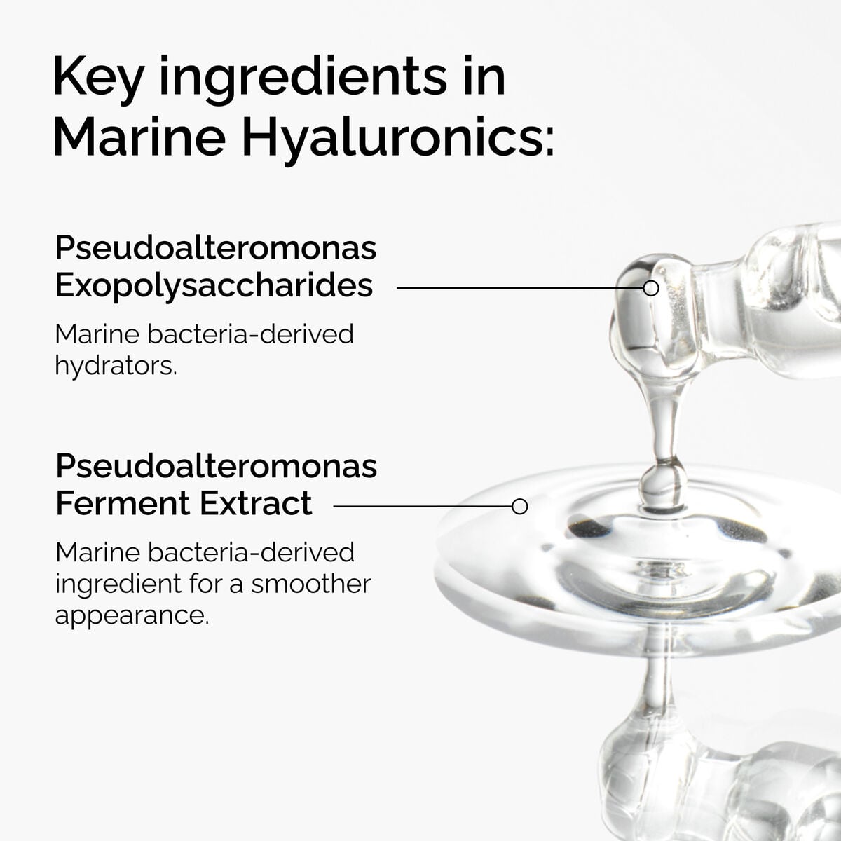 marine-hyaluronics-q8 FY25-D41247-ORD-Web-PDP-Marine-Hya-1x1-EN-2a.jpg