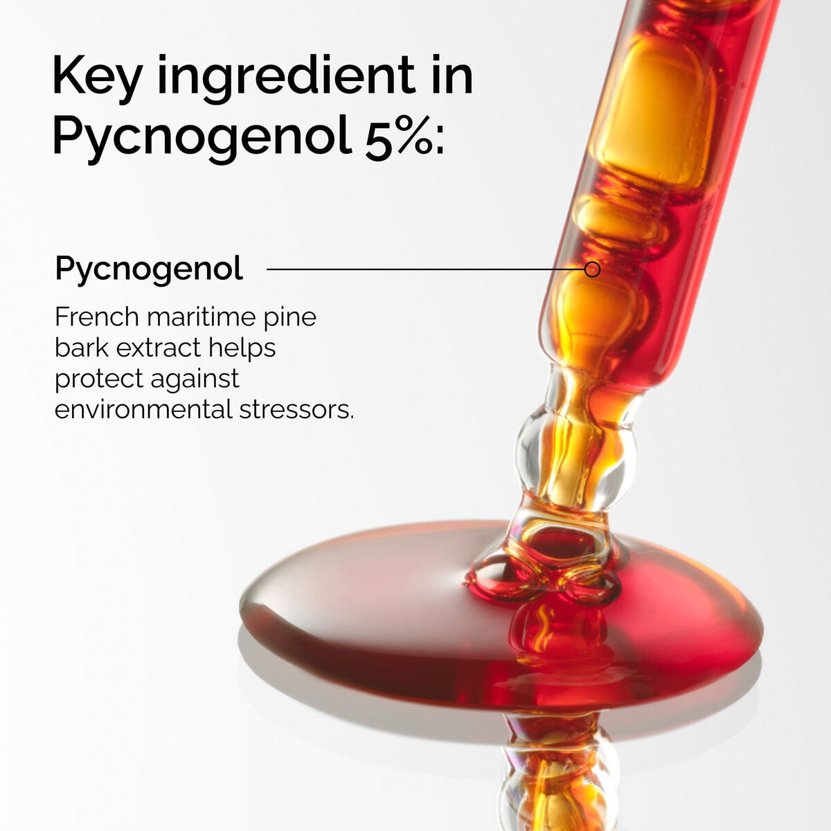 pycnogenol-5-z7 FY25-D41247-ORD-Web-PDP-Pyc-5pct-1x1-EN-2a.jpg