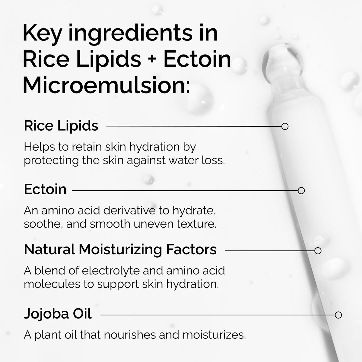 rice-lipids-ectoin-microemulsion-r4 ord-rice-lipids-ectoin-microemulsion-key-ingredients.png