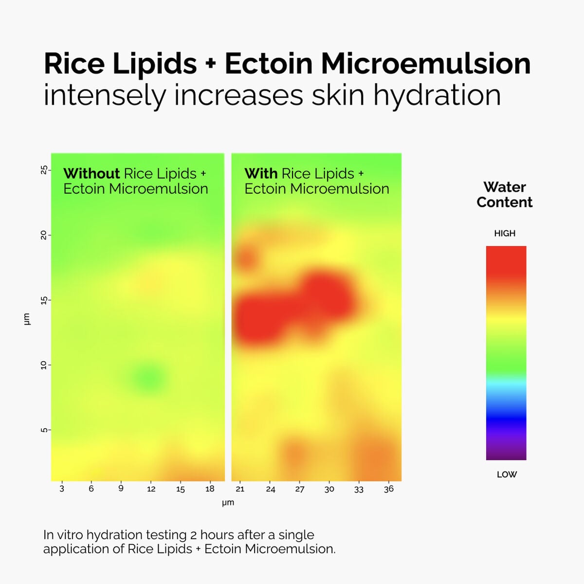 rice-lipids-ectoin-microemulsion-r4 ord-rice-lipids-ectoin-microemulsion-thermal-before-after.jpg
